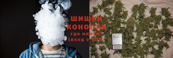 прущие крисы Беломорск