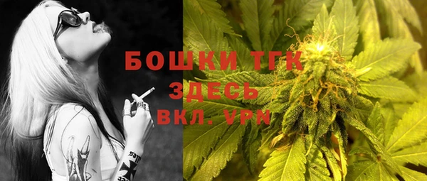 сатива Белокуриха