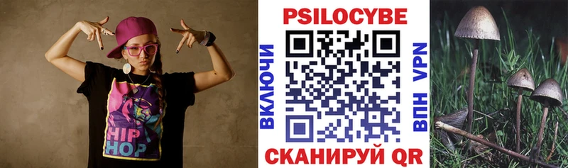 Псилоцибиновые грибы Psilocybine cubensis Великий Устюг